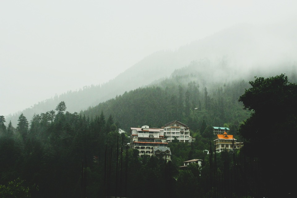 Misty Himalayan village with houses surrounded by pine forests and mountain fog