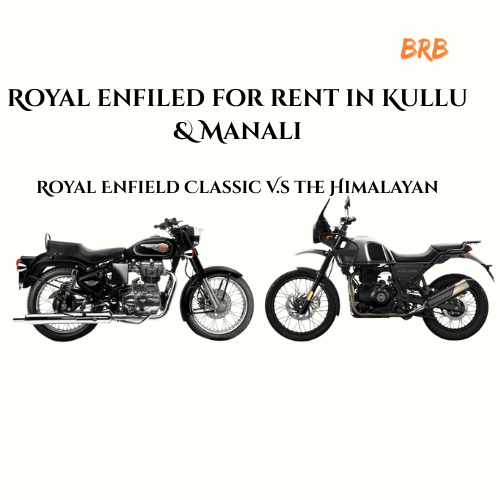 Best Royal Enfield to Rent in the Mountains: Classic 350 or Himalayan?