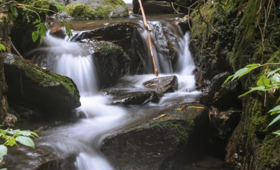 Jibhi Waterfall surrounded by green forests, Himachal Pradesh