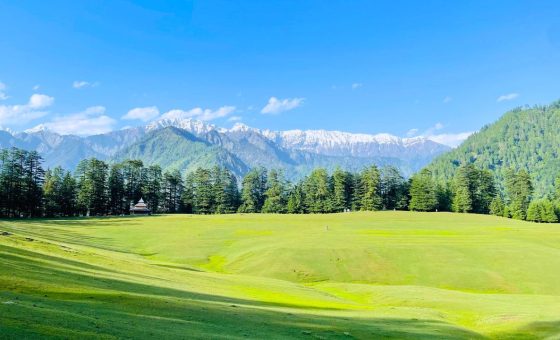 Shangarh Himachal Pradesh meadows surrounded by pine forests and distant Himalayan peaks