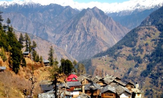 Shoja Himachal Pradesh mountains with lush green cedar and pine forests