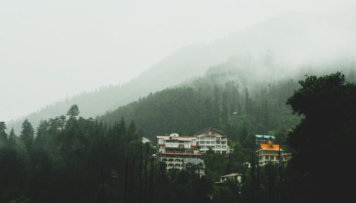 Misty Himalayan village with houses surrounded by pine forests and mountain fog