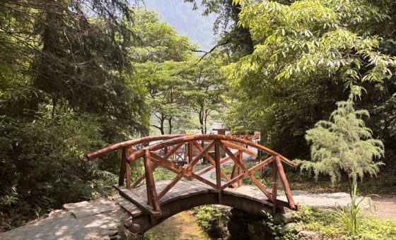 Jibhi Waterfall cascading through green forests in Himachal Pradesh, surrounded by scenic mountains.
